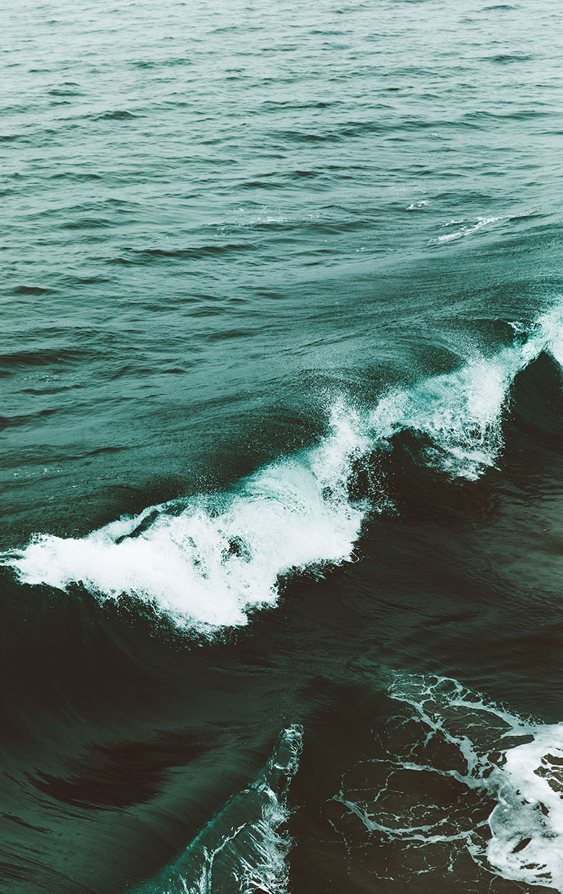 The dynamic texture of the ocean's surface is captured in this image, highlighting the dark green tones of the water and the white froth of the waves. The angle of the photo provides a sense of the movement of the water as it rises and falls in natural rhythms.